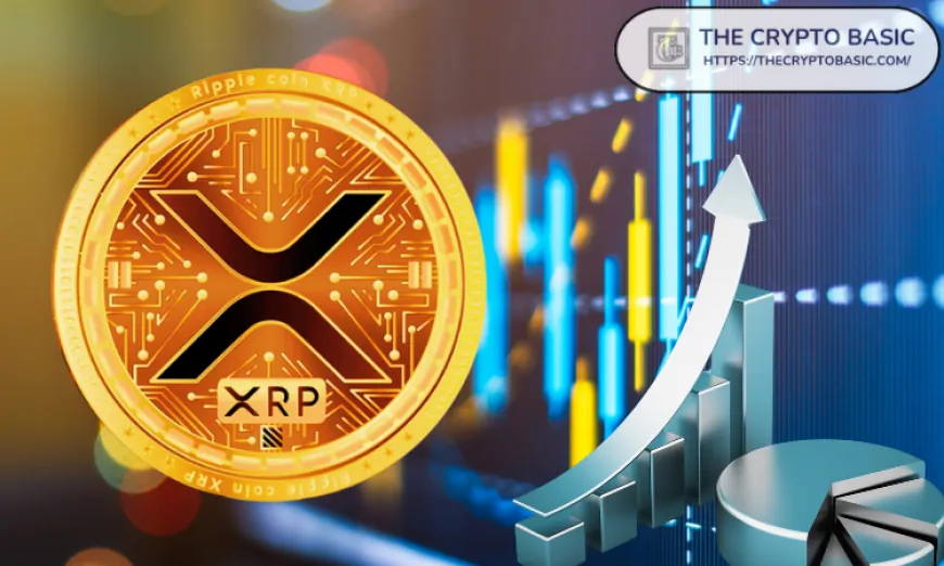 XRP Emerges as Biggest Gainer Since Trump Victory and Most-Traded Altcoin on Binance