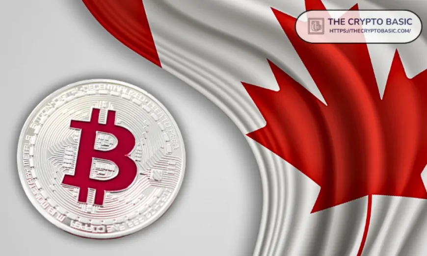 Canadian Firm Matador to Adopt Bitcoin as Reserve Asset, Plans $4.5M Initial Purchase