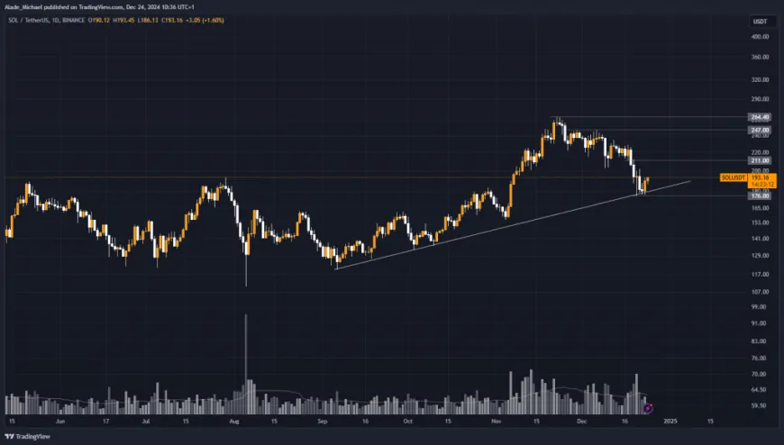 SOLANA PRICE ANALYSIS & PREDICTION (December 24) – Sol Bounces Off Three-Month Support Line, Signals A Fresh Buy