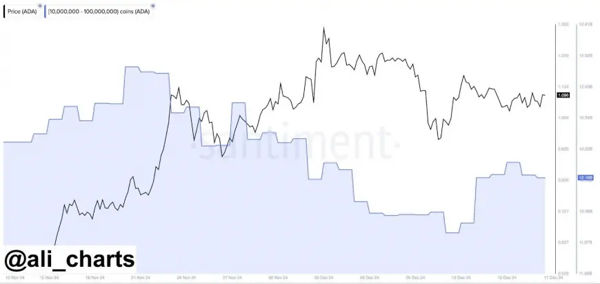 Ethereum Whales Eye Rising AI Altcoin Predicted To Outperform Cardano And Shiba Inu By Q2 2025