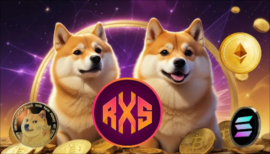 After Ethereum (ETH), Solana (SOL), and Dogecoin (DOGE), This Is the Next 10,000% ROI Crypto 