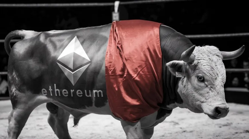 Analyst Gives Good News to Investors! 'Wait for January! Ethereum (ETH) May Start Altcoin Rally!'