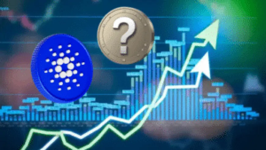 Is Cardano poised for an upward race in 2025? ADA and its economic rival could disrupt the market