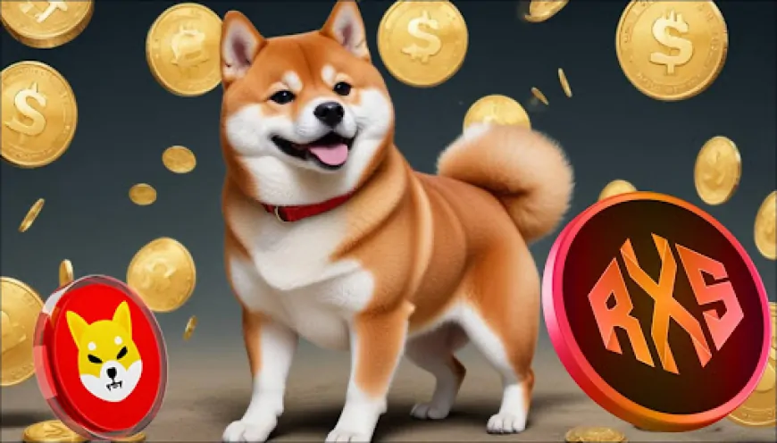 Shiba Inu Bull Identifies 1 Coin to Turn $800 into $208800 with a  Rally Like SHIB in Its Prime Days