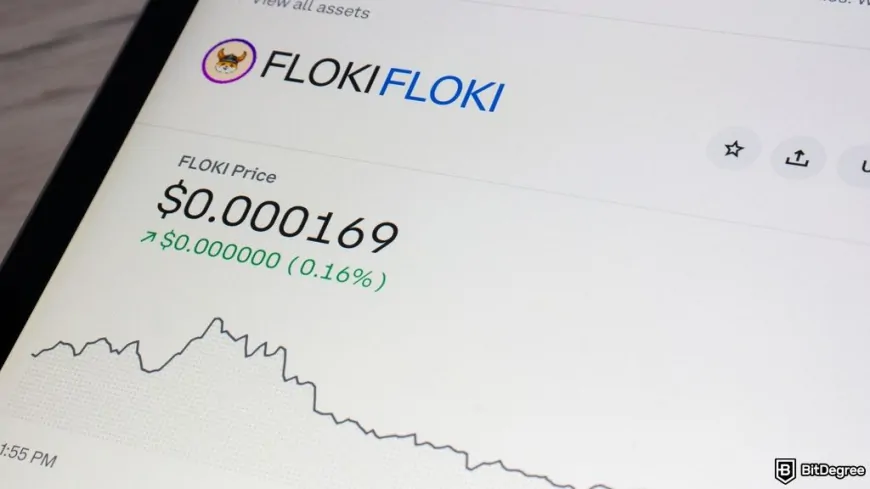 Floki DAO's $2.8 Million Proposal to Bring a Floki ETP to European Investors