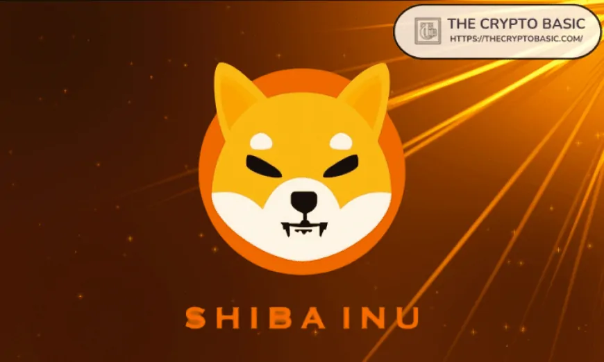 Shiba Inu Lead Teases Potential Launch of New Projects, Says Community ‘Will Need a Much Longer Checklist'