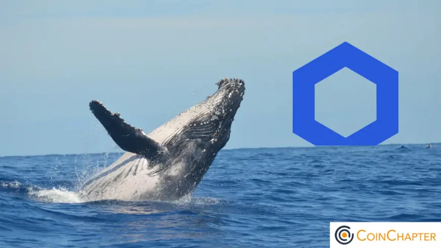 Chainlink Whales Amass $44M — Is a Major LINK Price Surge Ahead?