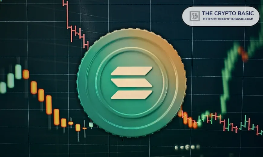 Solana Sustains Capital Inflow Since September 2023, Hitting a Daily Peak of $776M This Year