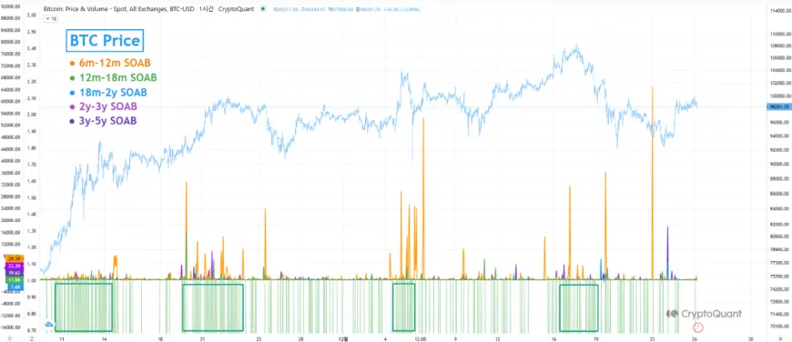 Who Profited During Bitcoin's $100,000 Surge? Analyst Breaks Down the Data