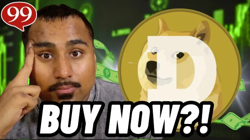 Dogecoin Faces Decline as Bitcoin Falls Below $100K – Should Investors Shift Focus to Wall Street Pepe Presale?