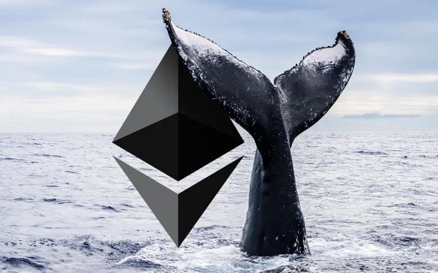 Giant Whale, One of the First Ethereum Investors, Woke Up After 9 Years: Here's The Price He Bought