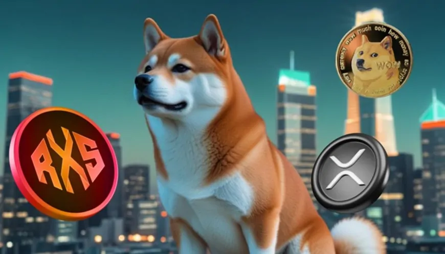 With $1000 in This Dogecoin (DOGE) and Ripple (XRP) Alternative, You Could Hit $1M By 2026