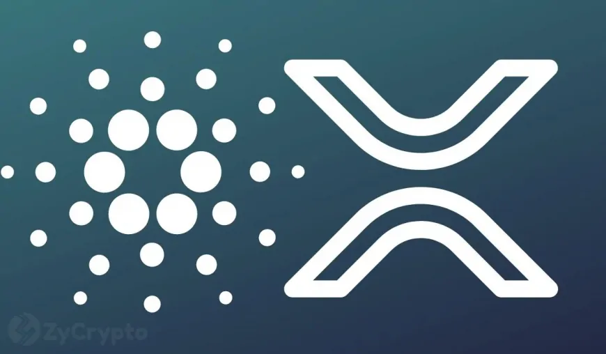 Cardano's Hoskinson Eyes Groundbreaking Integration with Ripple's XRP