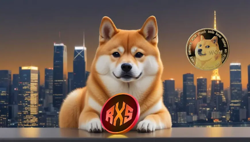 Massive Accumulations Signal This Undervalued Token Could Flip Dogecoin (DOGE) and Cardano (ADA) in 2025