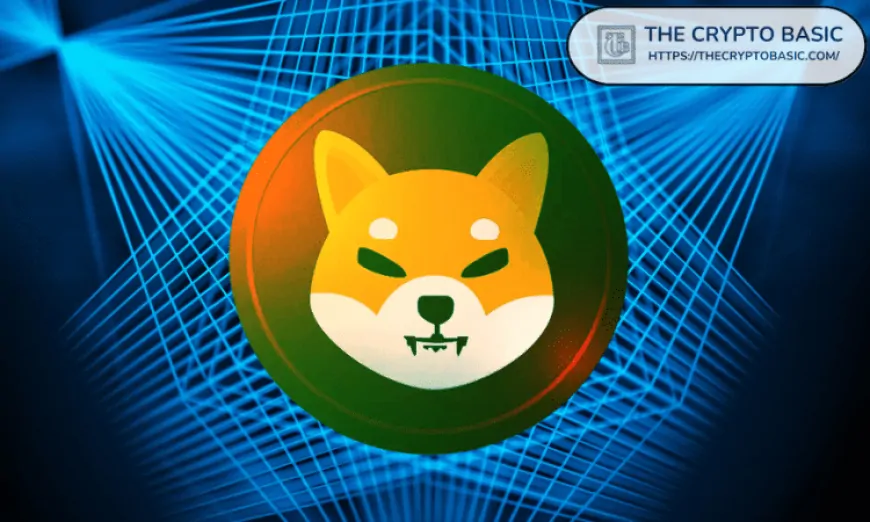 Shiba Inu Team Reacts to SHIB 2024 Transformative Journey, Says ‘What a Wonderful Wrap of the Year'