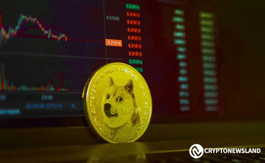 DOGE's 77-Day Consolidation Timeline Points to Massive January 2025 Breakout