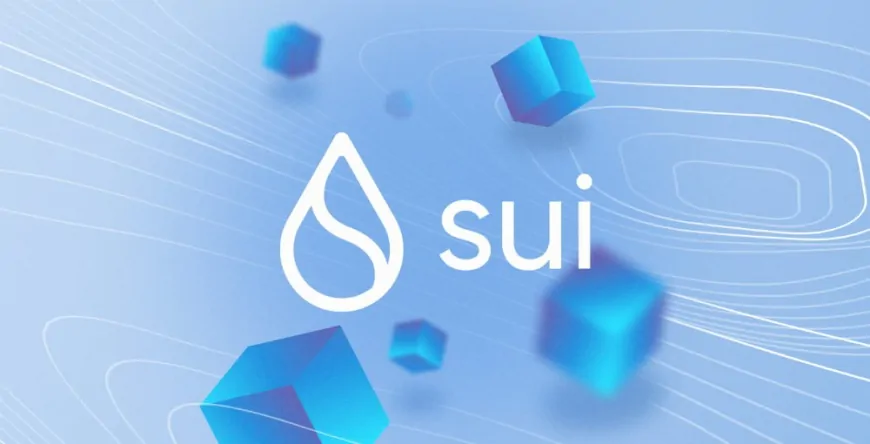 Sui Could Outperform XRP and Solana in the Coming Market Cycle, Expert Suggests