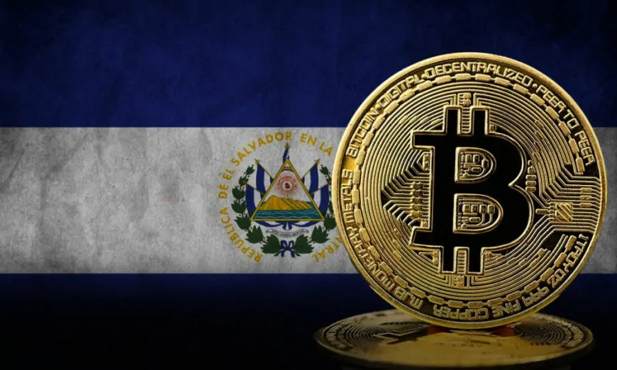 Inside El Salvador's $569 Million BTC Strategy