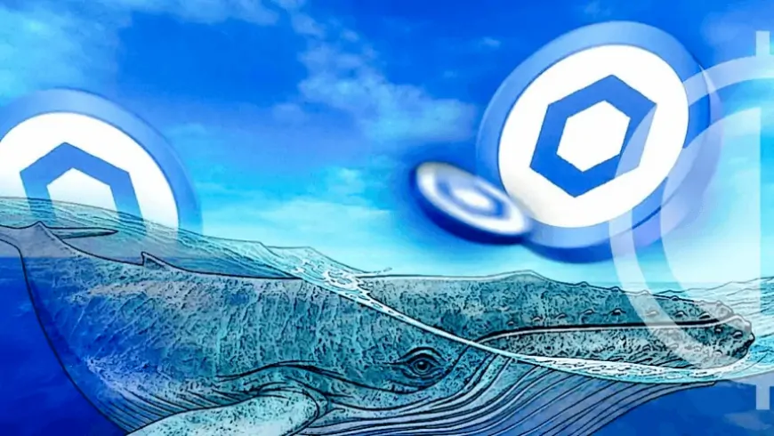 Chainlink Whales Accumulate $79.9 Million LINK Admist Price Correction – Details