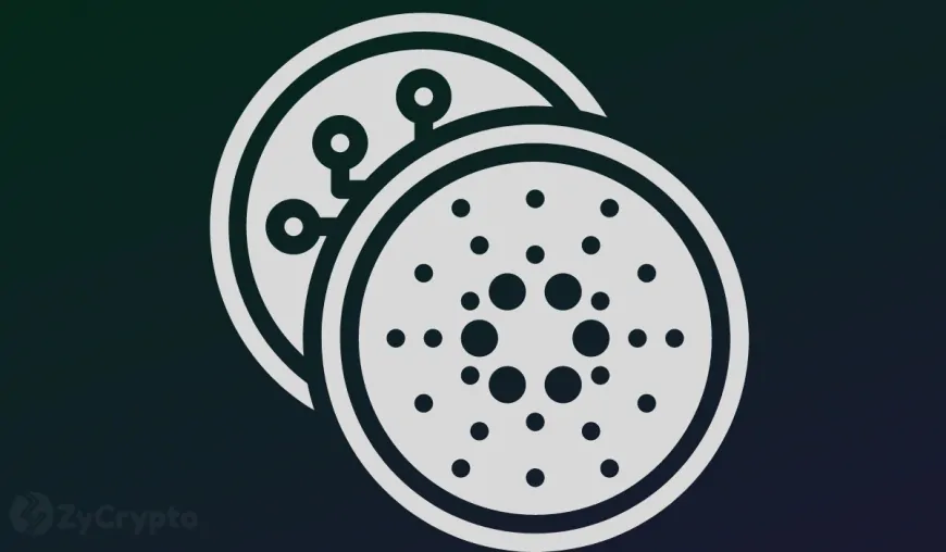 Cardano Whales Scoop 160 Million ADA After Price Dip; What Do They Know?