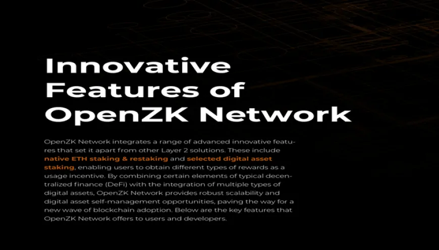 OpenZK Is the Next Sui! Why Is It Said To Have 20x Growth Potential?