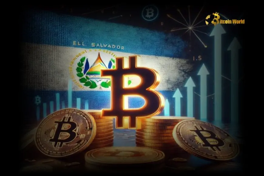 El Salvador's Bitcoin Holdings Exceed 6K BTC, Yielding $157M in Profits