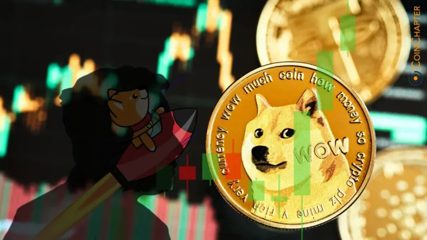 Dogecoin (DOGE) Poised for 91% January Rally?