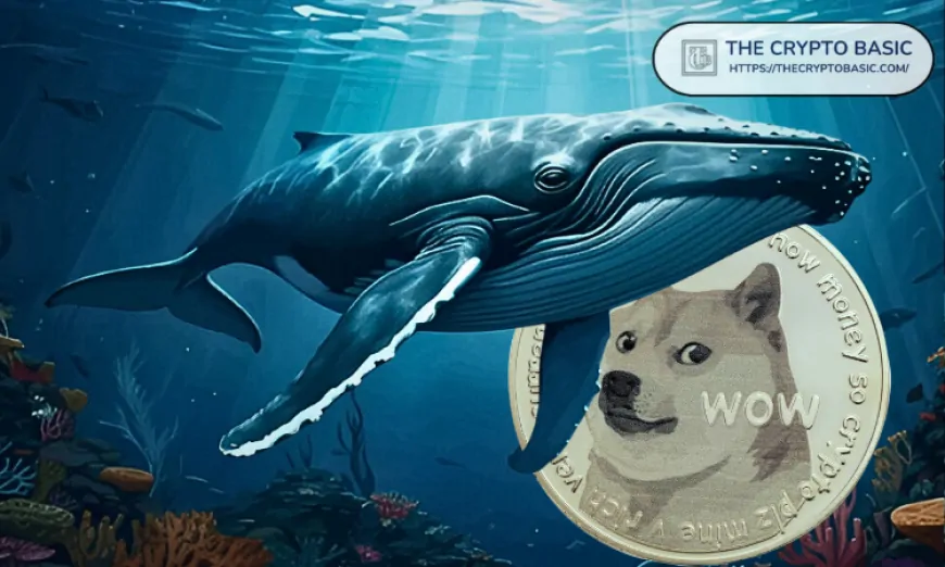 Dogecoin Whales Active Despite Downtrend, Move 816,890,148 DOGE in 24 Hours