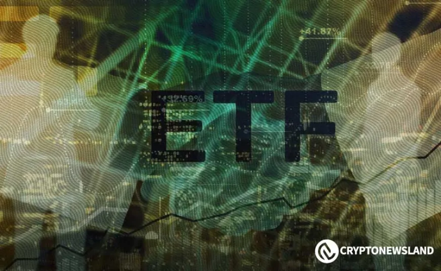 Bitcoin vs. Ethereum: ETF Market Records Mixed Results as Daily Outflows and Gains Compete