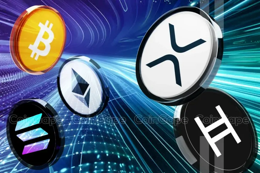 Pro-XRP Lawyer Predicts XRP & HBAR To Outperform BTC, SOL, ETH in 2025