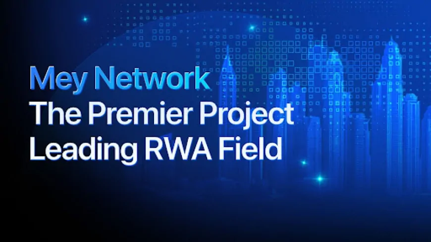 Mey Network Leads the RWA Field With Skyrocketing 45x Growth In Just 1 Month!