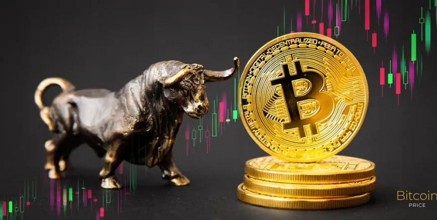 Bitcoin Price Predictions: What to Expect by 2025