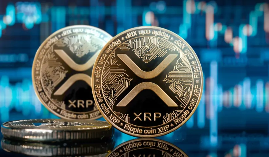 XRP Still at the Top Even Though the Price Dropped! It Left Bitcoin and Ethereum Behind! – An Incredible Prediction Came from an Analyst for XRP!