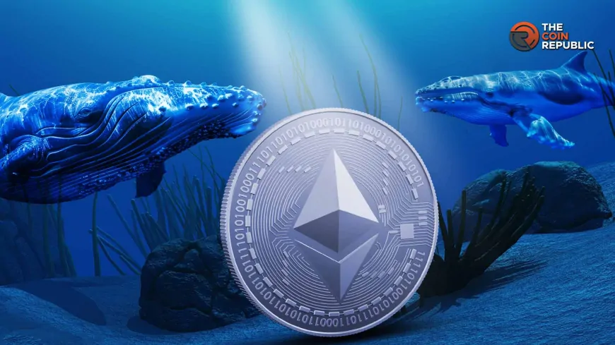 Ethereum Whales Buying the Dip: Will Ethereum Price Rally?