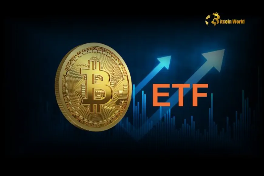 U.S. Spot Bitcoin ETFs See $5.3M Net Inflows on December 31, 2024