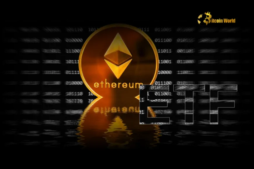 U.S. Spot Ethereum ETFs Record $36M in Net Inflows on December 31, 2024