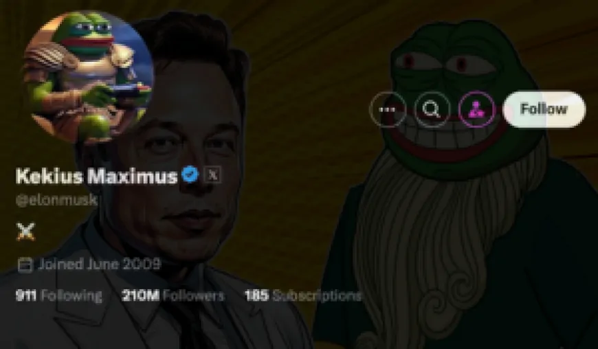 Is Kekius Maximus Elon Musk's Latest Crypto Statement on PEPE?