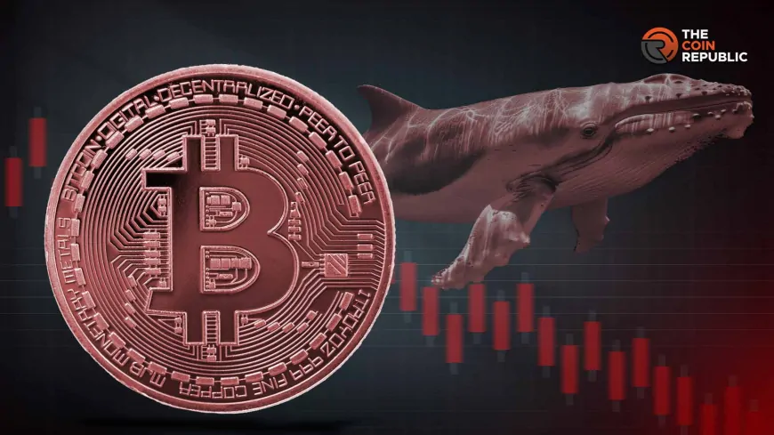 Bitcoin Price Faces Bearish Pressure as Whales Move $286M