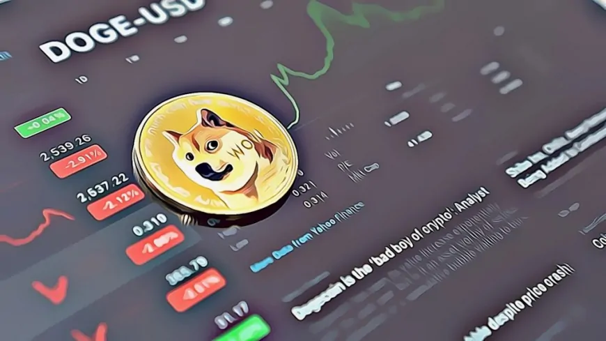 Elon Musk Fuels Dogecoin Speculation With Latest Post; Whales Accumulate 300M DOGE