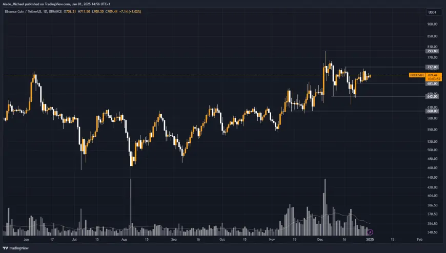 BINANCE COIN PRICE ANALYSIS & PREDICTION (January 2) – BNB Faces Hurdles Around $700 As It Foots Increase, New High Ahead