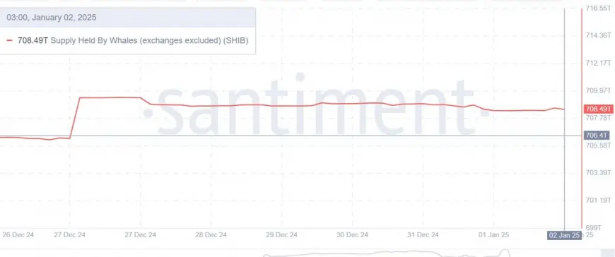 Whale Accumulation Drives Shiba Inu (SHIB) Growth: What Could This Mean for Future Price Trends?