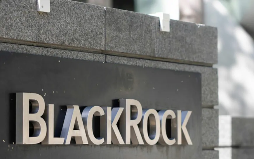 Frax Finance to Back frxUSD Stablecoin with BlackRock's BUIDL