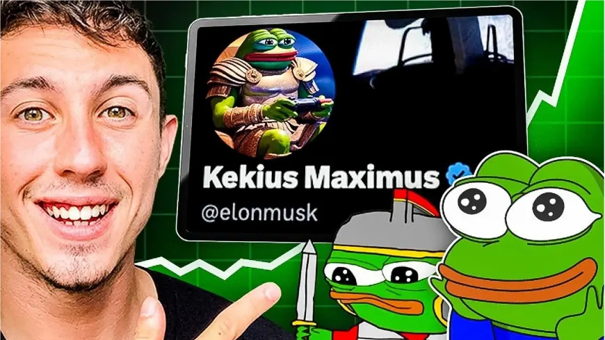 Elon Musk's Influence Drives Surge in Frog-Themed Coins and $39 Million Presale for Wall Street Pepe