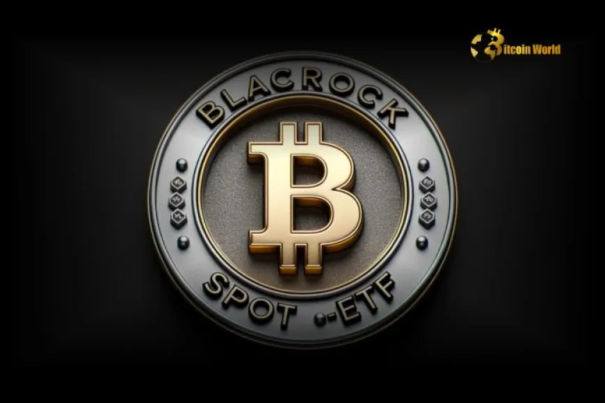 BlackRock's Spot Bitcoin ETF Sees Record $331M Outflow: What's Next?