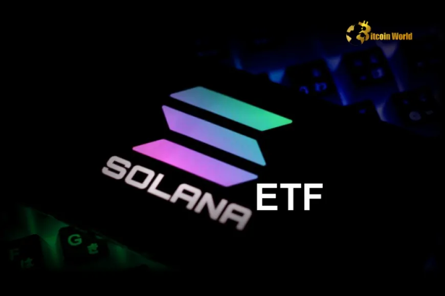 VanEck Exec: Solana ETF Approval in 2025 Likely to Exceed 76%