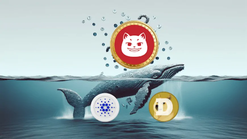 Whales Exit ADA and DOGE for This New Solana Coin's Explosive x1000 Potential