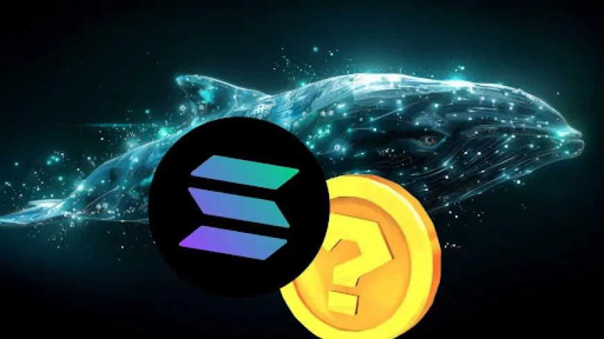 Whales Shift From Solana to XYZVerse Amid Bold Predictions of a 15,000% Rally in 2025