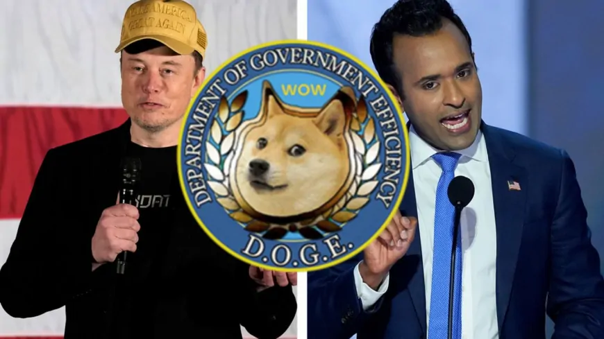 Is It Too Late To Buy DOGE? Department Of Government Efficiency Price Soars 32% And This Might Be The Next Crypto To Explode