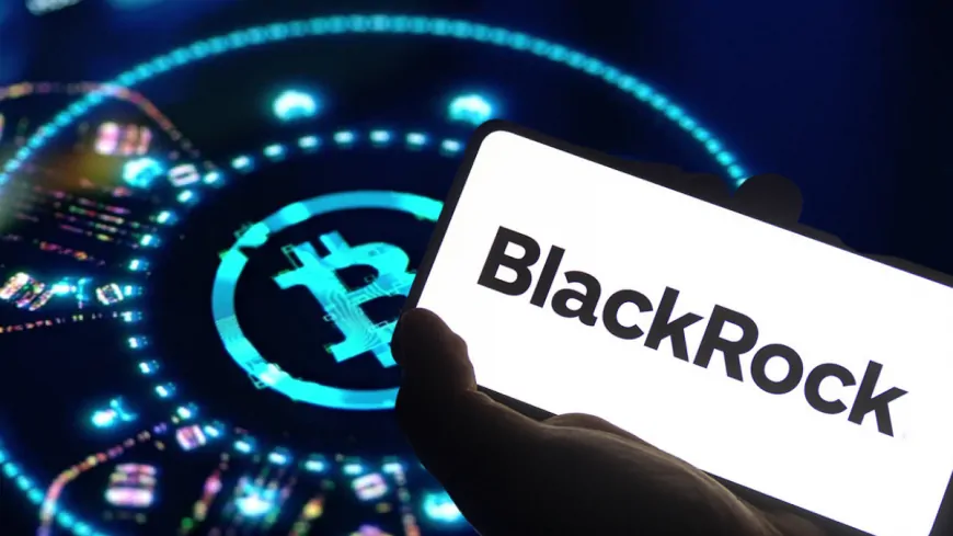 BlackRock's Bitcoin ETF Hit By Record $332 Million Net Outflow In A Single Day