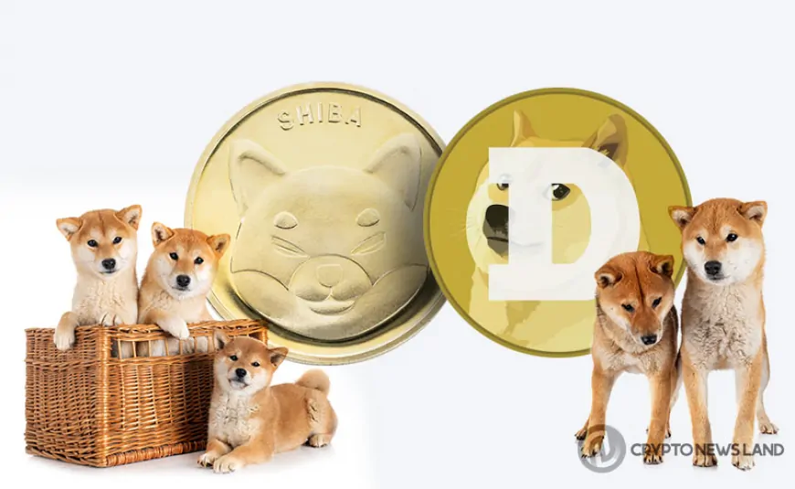 From DOGE to JBOLT: Meme Coins That Could Shine in the Next Market Surge